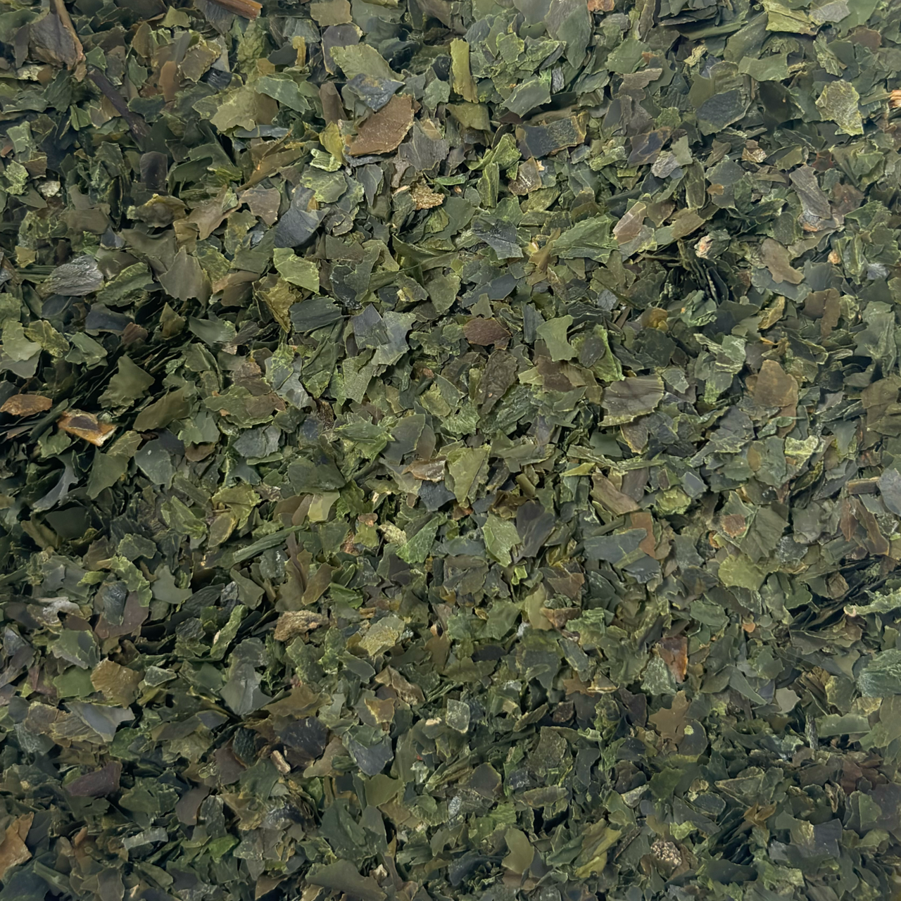 Organic French Sugar Kelp (50g)
