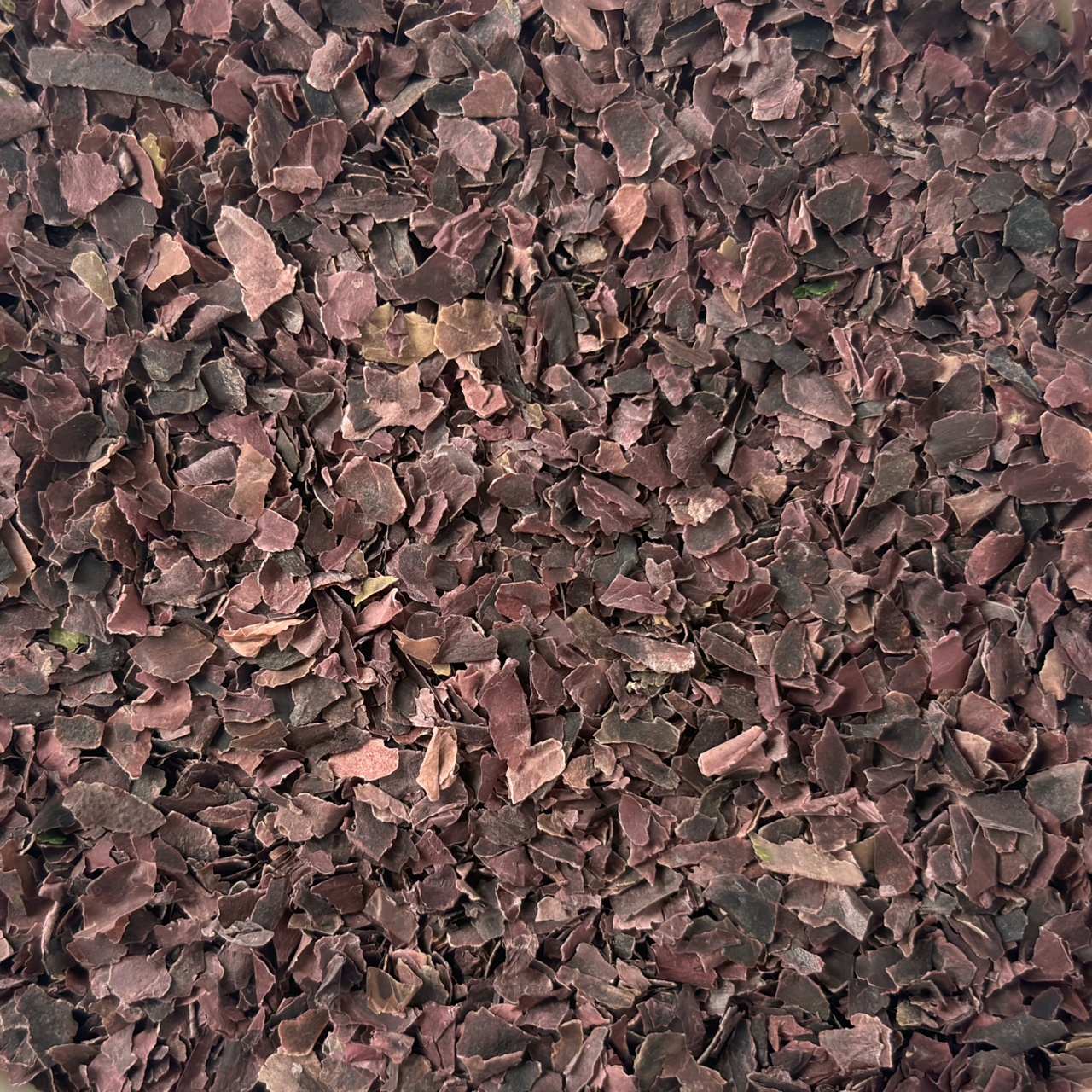 Organic Breton seaweed - Dulse