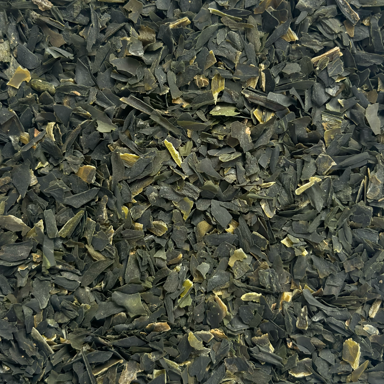 Algues bretonnes bio - Wakamé
