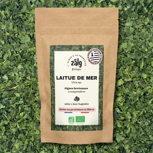 Algues bretonnes bio - Laitue de mer